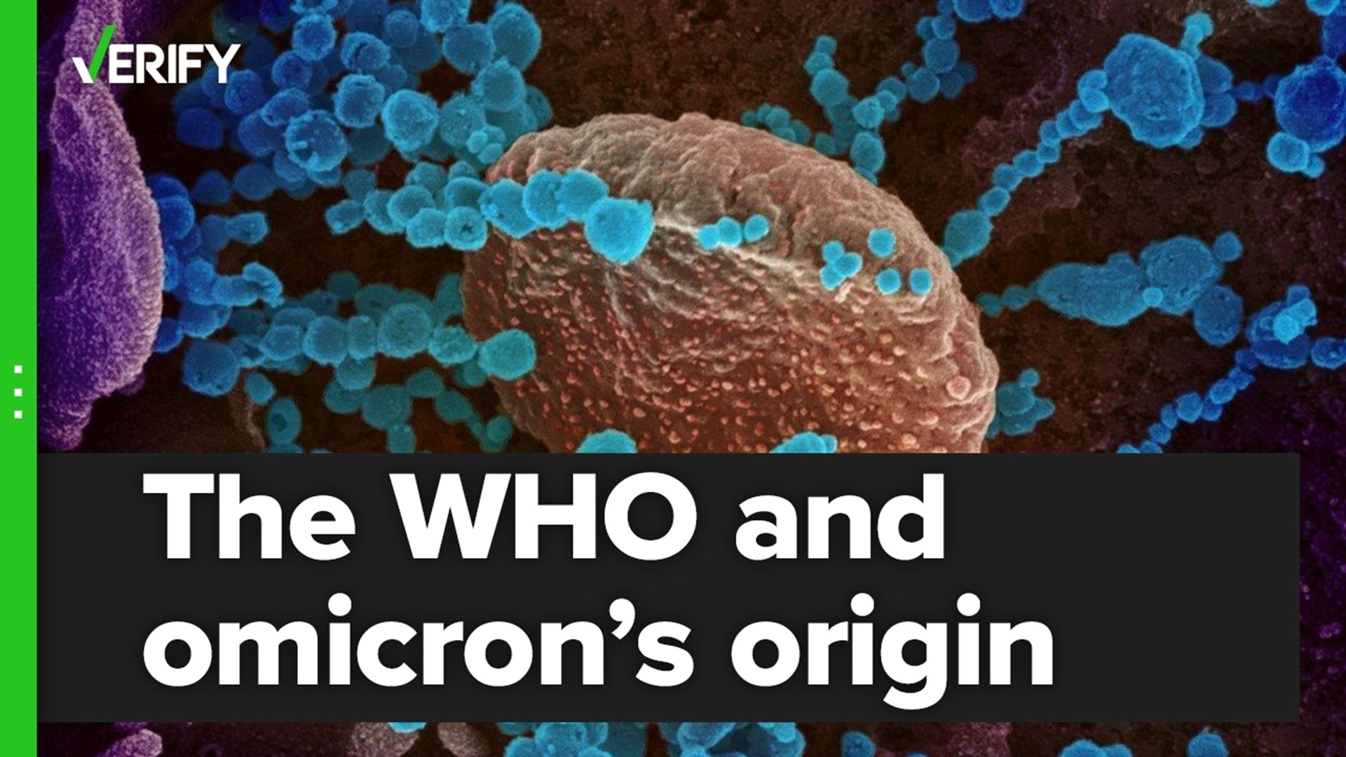 Did the World Health Organization say the omicron variant originated in South Africa?